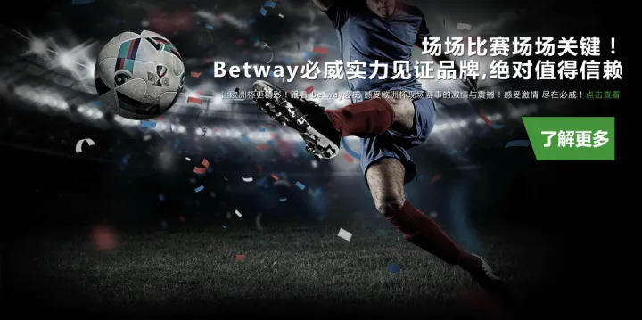 最大的网络彩票平台网址