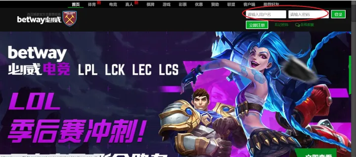 十大网络彩票平台注册