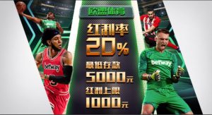 欧盟体育20%